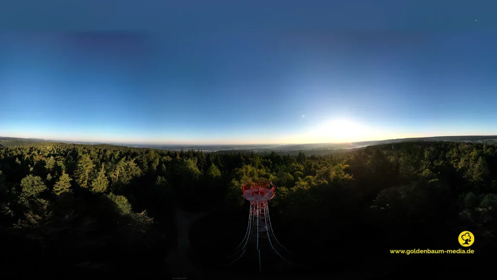 Horizontbild - obne Himmel unten Wald- Sonneim Gegenlicht.