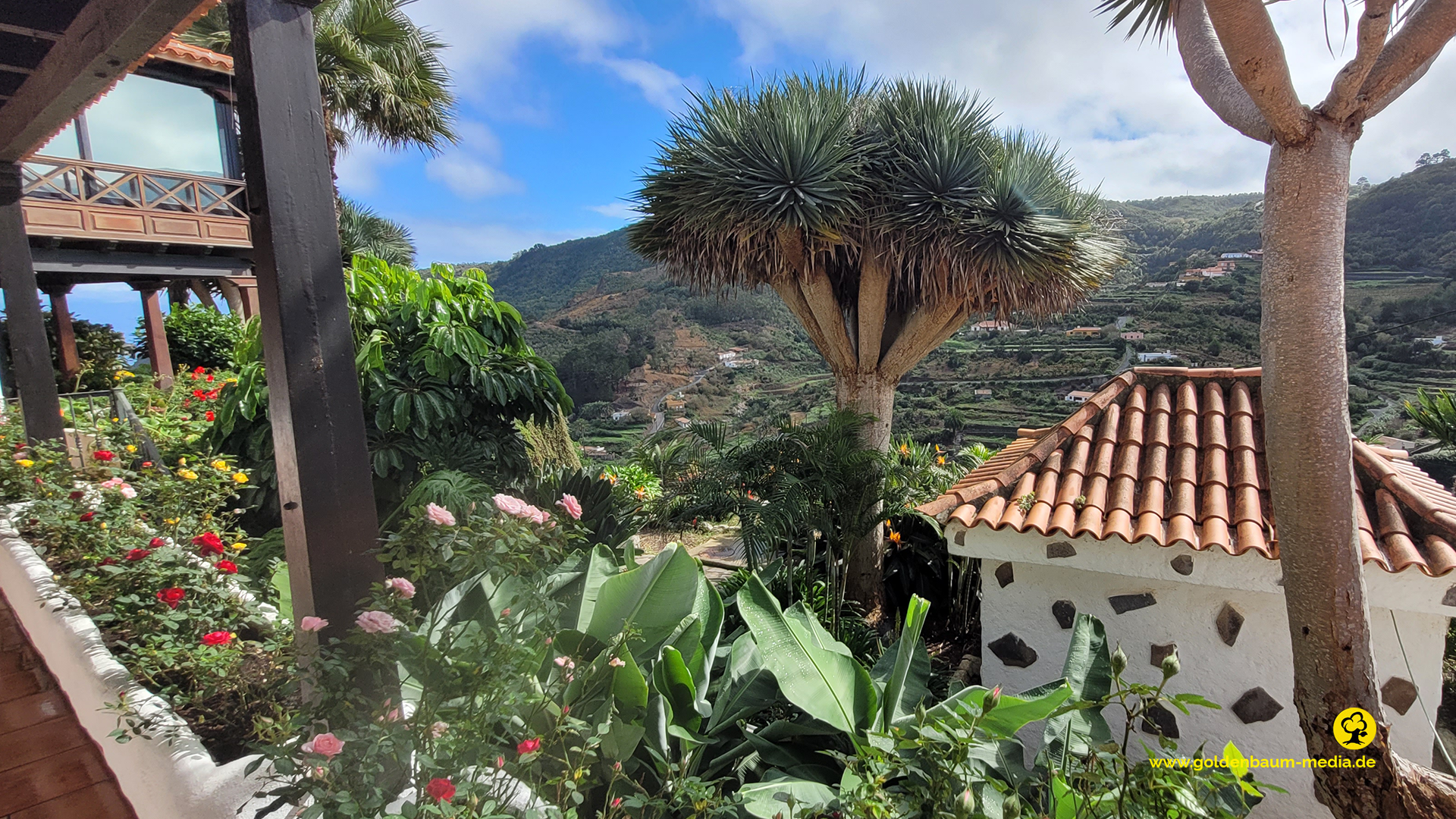 Blick ins Tal - La Gomera