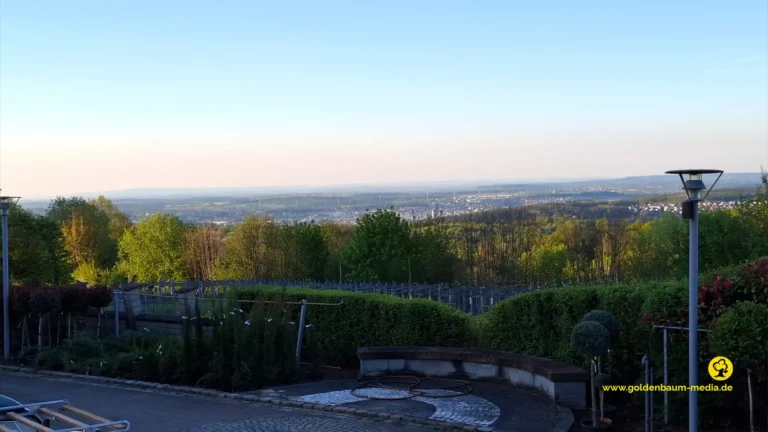 Blick über Pforzheim