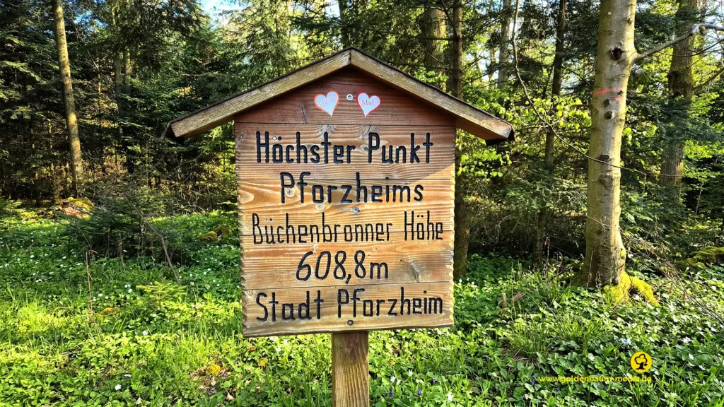 Holzhinweistafel im Wald: Höchster Punkt Pforzheims 608m Büchenbronner Höhe